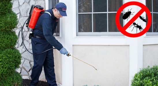 Turgutlu Karınca İlaçlama böcek ilaçlama ve haşere kontrolü — ilaclama-tr.com